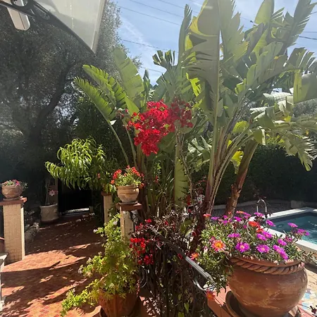 Grand Appt 6p Climatise Dans Avec Piscine - 8 Kms De Cannes